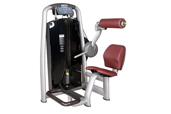 جهاز تمرينات تمديد الظهر TZ-6006